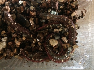 �o�`�C���[�W�摜