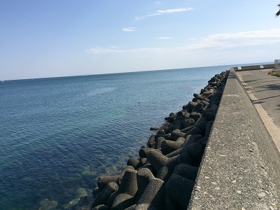 ���؍`�ނ�2�C���[�W�摜