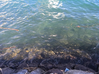 ���m�������@�S���^