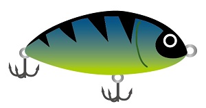 ���A�[�t�B�b�V���O�C���[�W�摜