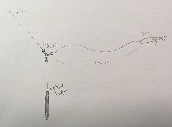 ヘビーキャロライナリグイメージ