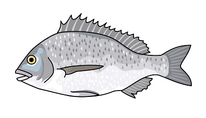 �E�鍕��ނ菉�S�҃C���[�W�摜