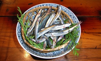 きびなご釣りの餌イメージ画像