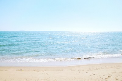 ���C���[�W�摜