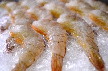 エビ釣りの餌イメージ画像