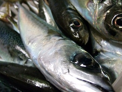 �A�W�T�o�C���[�W�摜