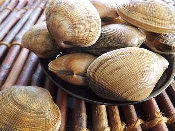 あさり釣りの餌イメージ画像