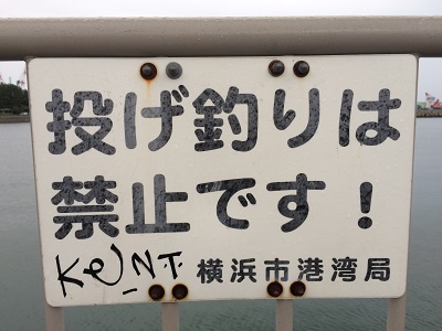 ���c�ՊC�Βn�����C���[�W�摜7