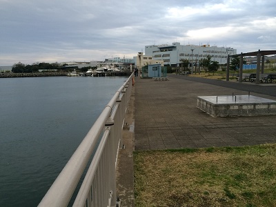 ���c�ՊC�Βn�����C���[�W�摜8