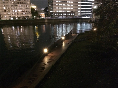 �V���F�����C���[�W�摜