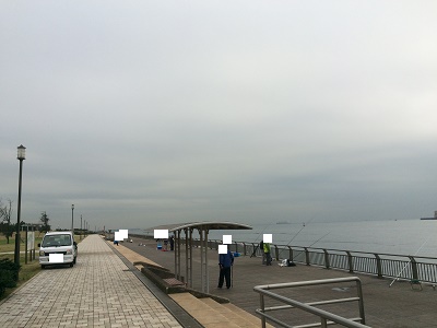 ����������C���[�W�摜