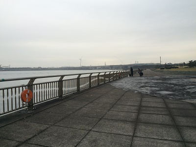 ����������C���[�W�摜2