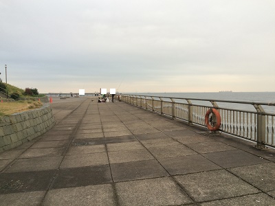 ����������C���[�W�摜3