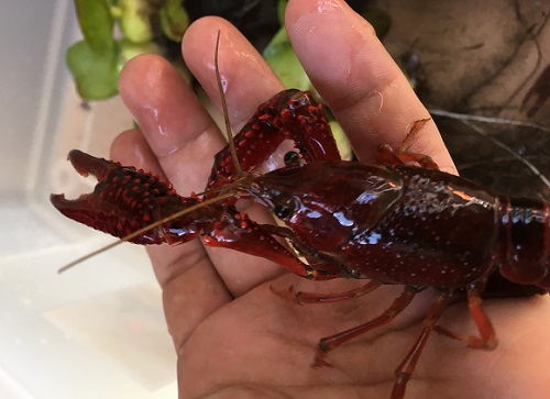 �a�p�U���K�j02