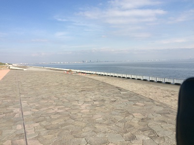 ���F�C�l�����C���[�W�摜