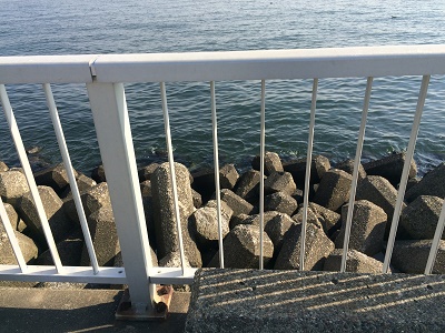 ���F�C�l�����C���[�W�摜2