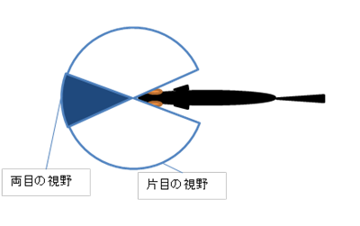 ����̎���C���[�W�摜